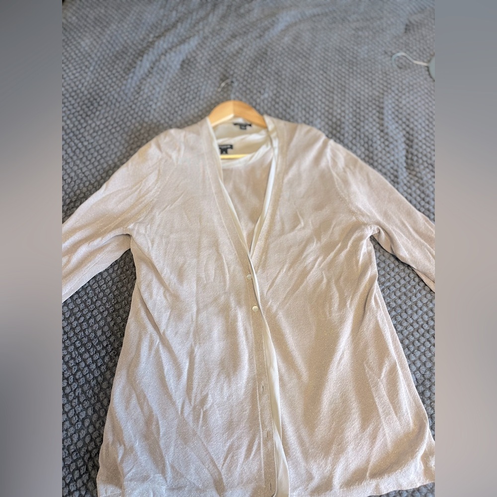 Ann Taylor dressy shirt set. Shimmery silver / Gray. L